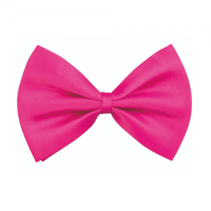 PAJARITA FUCSIA
