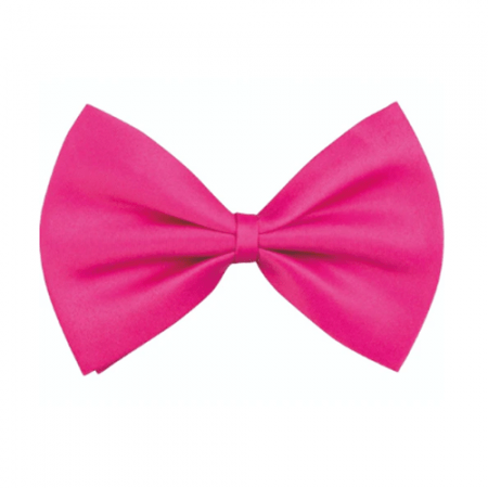PAJARITA FUCSIA