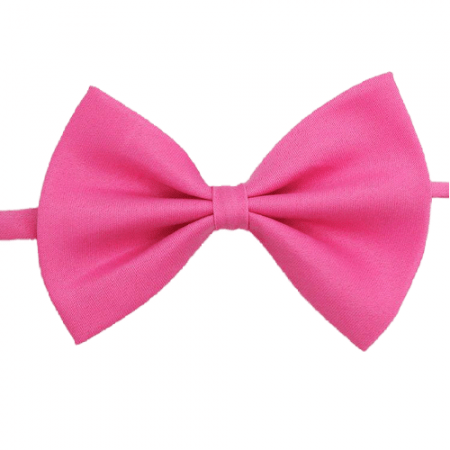 PAJARITA ROSA