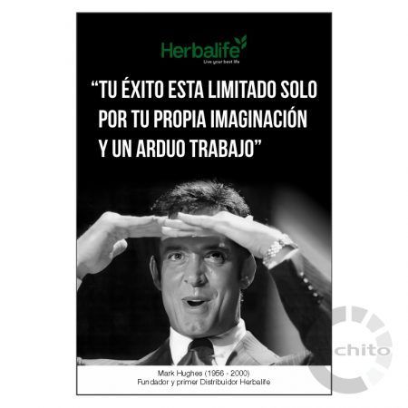 POSTER VERTICAL MODELO 2 TAMAÑO 60X40CM HB