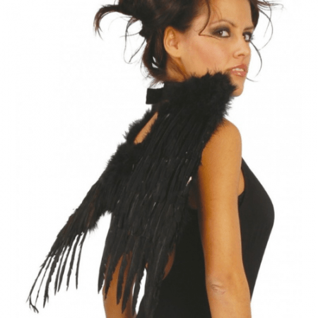 ALAS NEGRAS CON PLUMAS