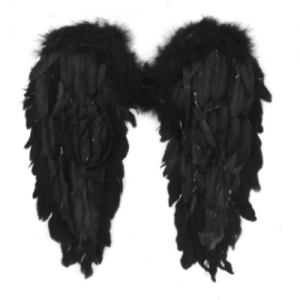 ALAS PLUMAS NEGRAS 50X50CM