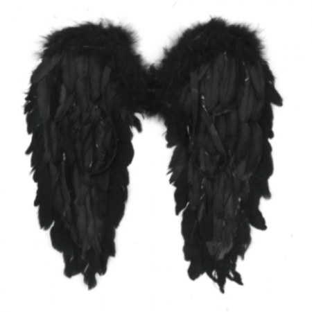ALAS PLUMAS NEGRAS 50X50CM